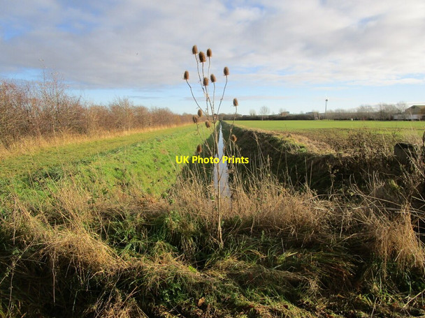Photo 6"x4" Teasle and drain Foston\/SK8542 c2021