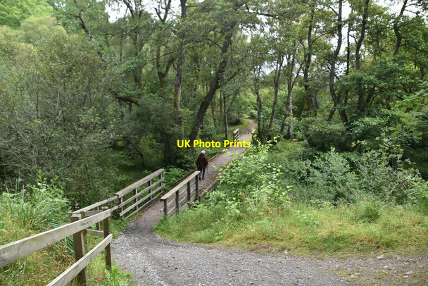 Photo 6"x4" Footbridge, Speyside Way Kincraig\/NH8305 c2021