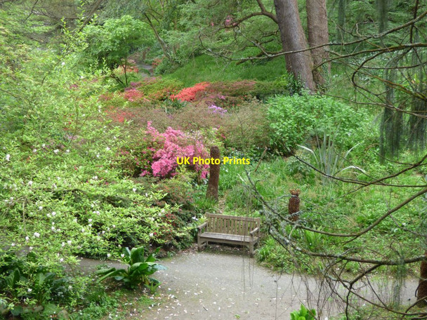 Photo 6"x4" Bench by the path Brymbo\/SH8071 c2019 P1