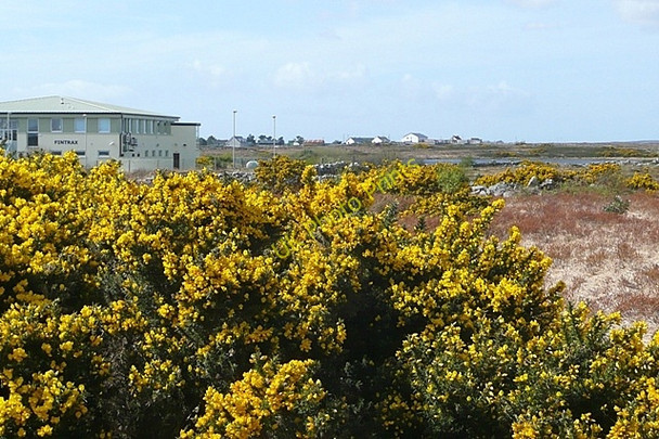 Photo 6"x4" An Tulaigh (Tully) Cartron c2009