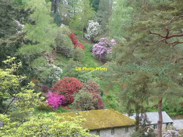 Photo 6"x4" The moss covered roof of the Mill Tal-y-cafn c2019