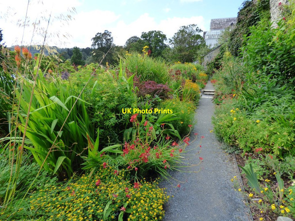 Photo 6"x4" The Hot border Brymbo\/SH8071 c2019