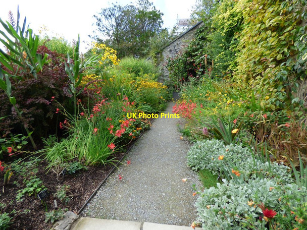 Photo 6"x4" Lower part of the Hot border Brymbo\/SH8071 c2019