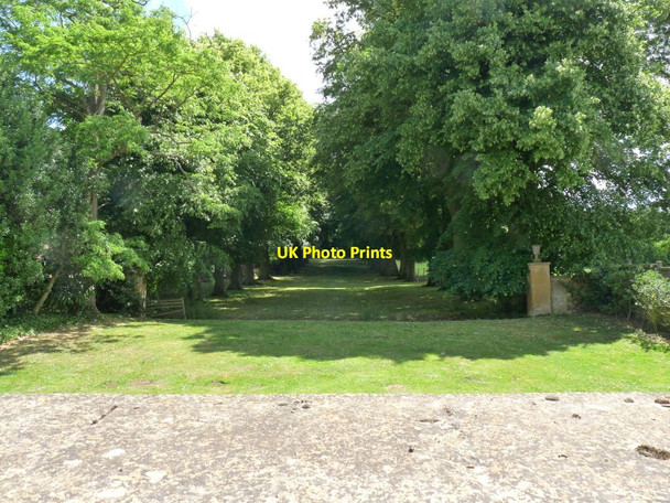 Photo 6"x4" Tree lined avenue at Hidcote Manor Hidcote Bartrim c2010