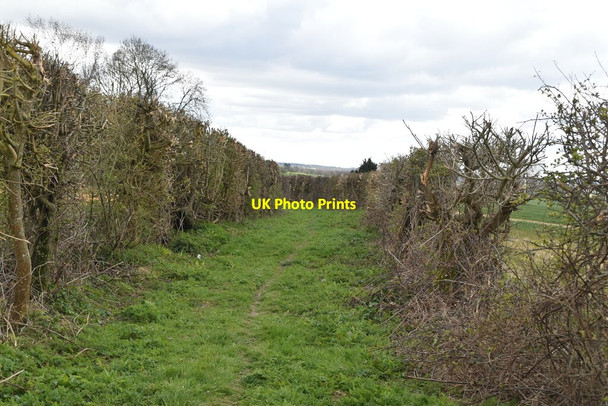 Photo 6"x4" Enclosed path Bulleign c2021