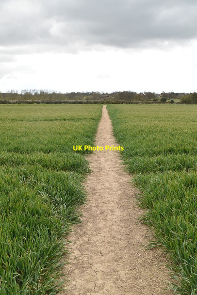 Photo 6"x4" Footpath across field Bulleign c2021