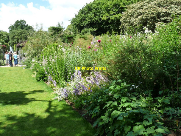 Photo 6"x4" Herbaceous border backed by trees Hidcote Bartrim c2010