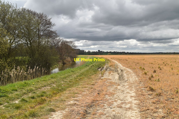 Photo 6"x4" Footpath by Reading Sewer Bulleign c2021