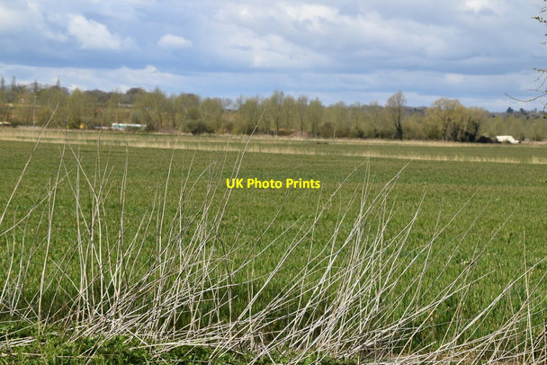 Photo 6"x4" Arable land Potman's Heath c2021