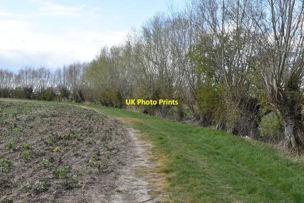 Photo 6"x4" The Shireway Potman's Heath c2021