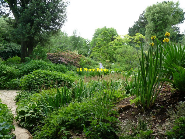 Photo 6"x4" Beds in one of Hidcote's garden rooms Hidcote Bartrim c2010