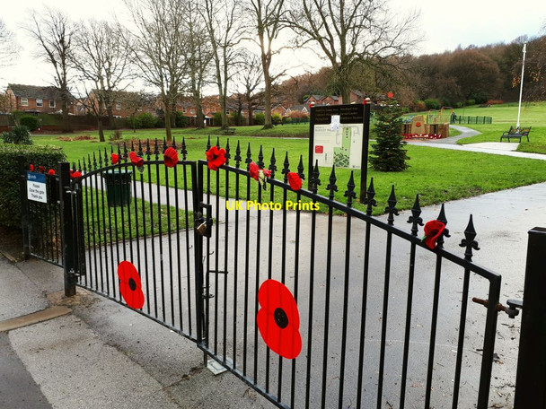 Photo 6"x4" Poppies on the gate of Rodley Park Horsforth c2021