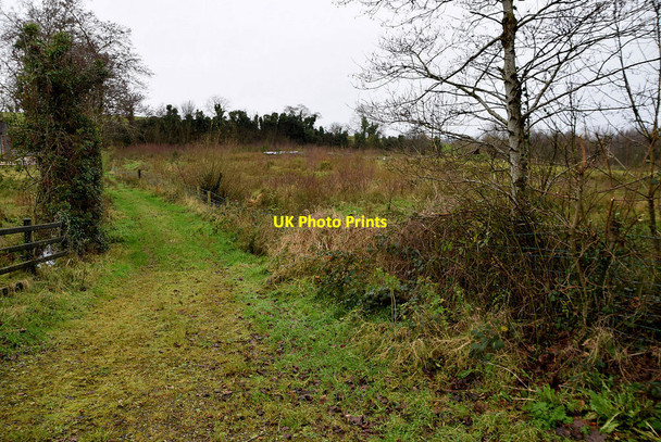 Photo 6"x4" Rough ground, Ballygowan Omagh c2021