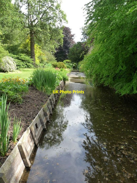 Photo 6"x4" Stream garden Dunham Town c2010