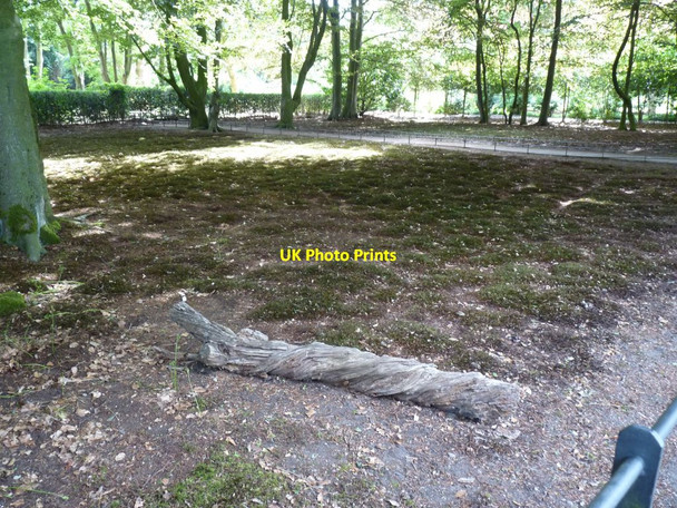 Photo 6"x4" The Moss Garden Dunham Town c2010