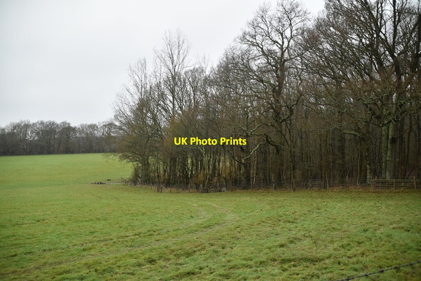 Photo 6"x4" Pashleypits Wood Berner's Hill c2021