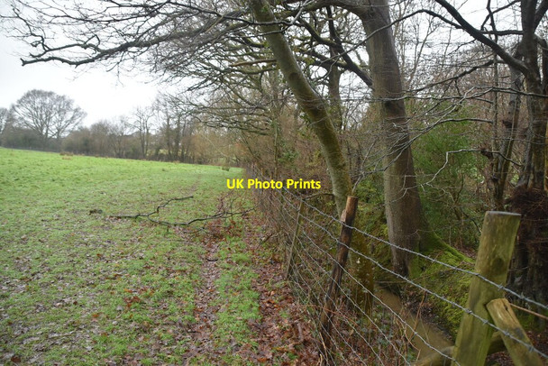 Photo 6"x4" Field edge footpath Dale Hill\/TQ6930 c2021