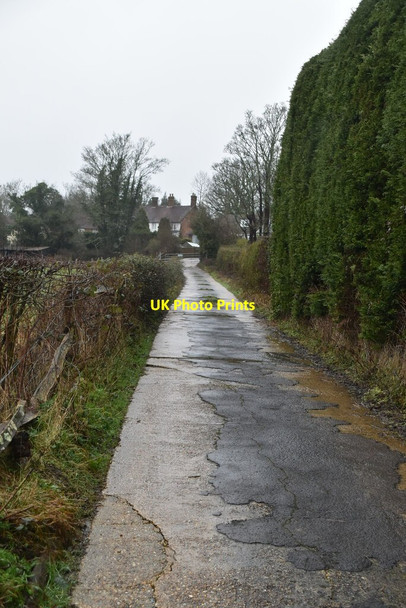 Photo 6"x4" Track to Ticehurst Dale Hill\/TQ6930 c2021