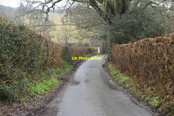 Photo 6"x4" Tinkers Lane Dale Hill\/TQ6930 c2021 P3