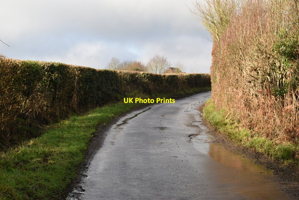 Photo 6"x4" Swaynesland Rd Limpsfield Chart c2021