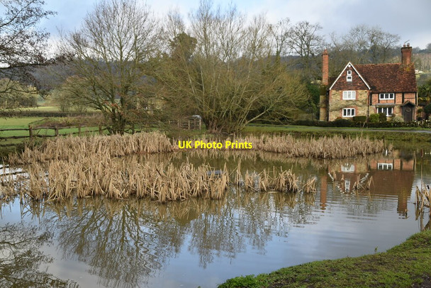 Photo 6"x4" Pond, The Moat Farm Limpsfield Chart c2021