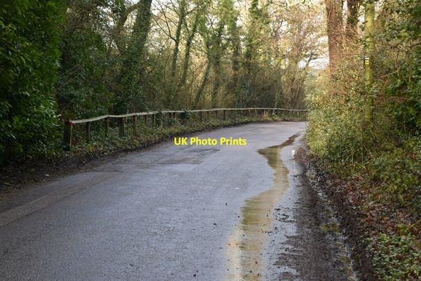 Photo 6"x4" Grants Lane Holland\/TQ4050 c2021