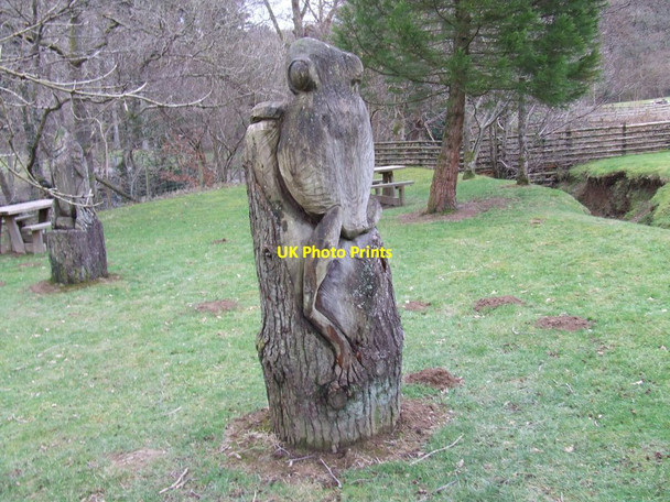 Photo 6"x4" Frog sculpture Llanwddyn c2007