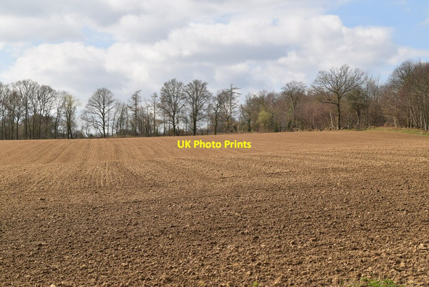 Photo 6"x4" Ploughed field Southover\/TQ6525 c2021