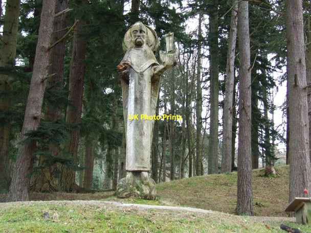 Photo 6"x4" Saint Nicholas Llanwddyn c2007