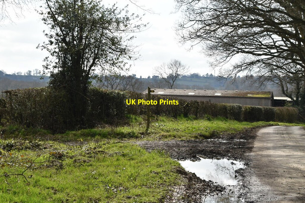 Photo 6"x4" Footpath off Swife Lane Witherenden Hill c2021