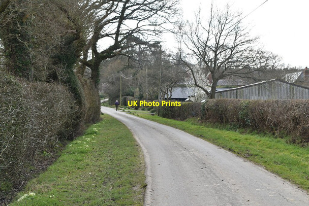 Photo 6"x4" Swife Lane Burwash Common c2021 P1