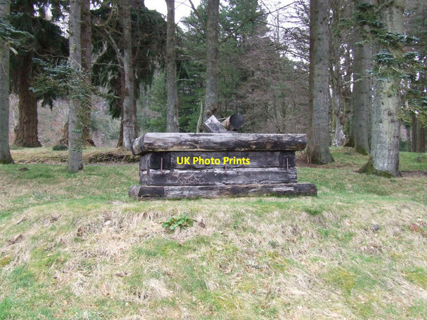 Photo 6"x4" No Rest for Nature Llanwddyn c2007