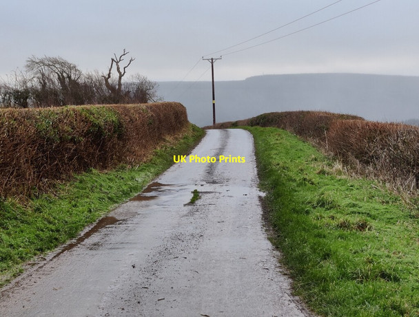 Photo 6"x4" South along the lane towards Clunton Lower Down\/SO3384 c2021