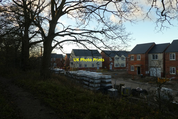 Photo 6"x4" Housing beside Windmill Lane Woods Heslington c2021