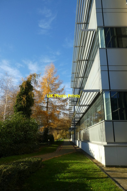 Photo 6"x4" Path beside Chemistry D block Heslington c2021