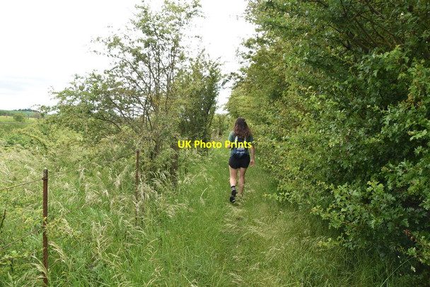 Photo 6"x4" The Chain Walk The Thrift c2021