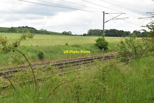 Photo 6"x4" The Cambridge Line Odsey c2021 P1