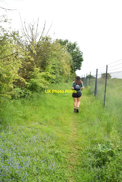 Photo 6"x4" The Chain Walk Odsey c2021