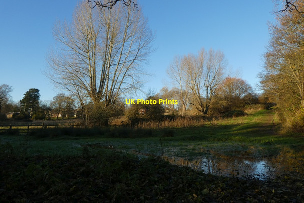 Photo 6"x4" Pond on Walmgate Stray York\/SE5951 c2021