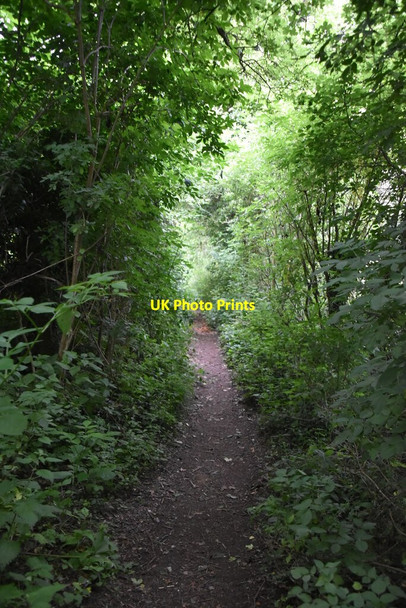 Photo 6"x4" Wooded bridleway Colstrope c2021 P2