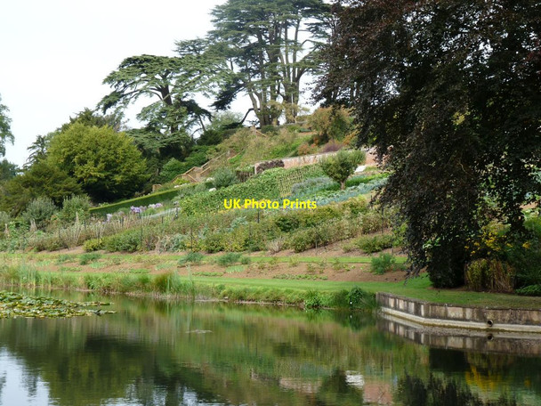 Photo 6"x4" The vegetable gardens Lower Tysoe c2009