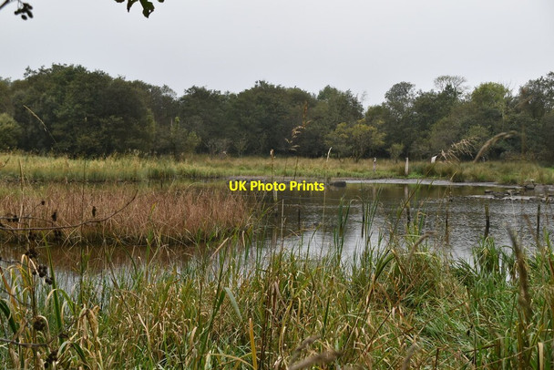 Photo 6"x4" Marshy inlet Derrygonnelly c2021