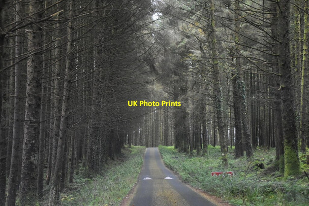Photo 6"x4" Lough Navar Scenic Drive Derrygonnelly c2021