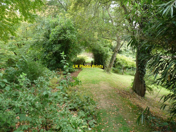 Photo 6"x4" Path to Bog Cottage Lower Tysoe c2009