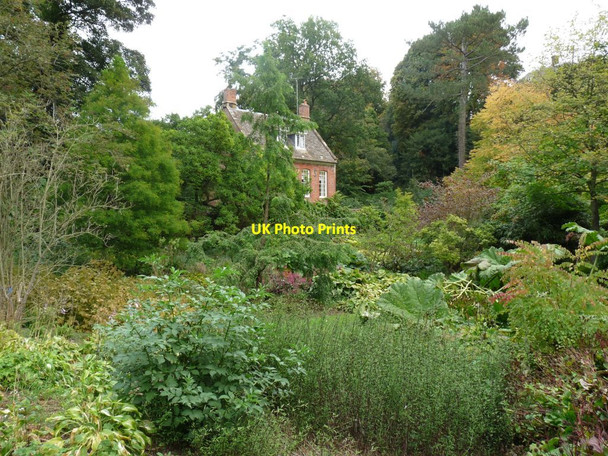 Photo 6"x4" Bog Cottage Lower Tysoe c2009