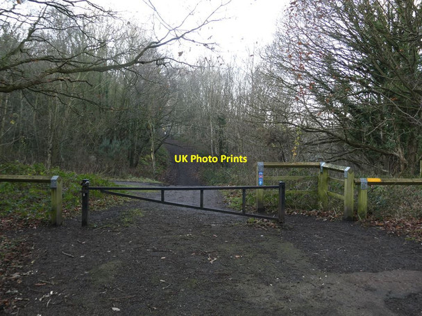 Photo 6"x4" Missing bridge on the Derwent Path Blackhall Mill c2021