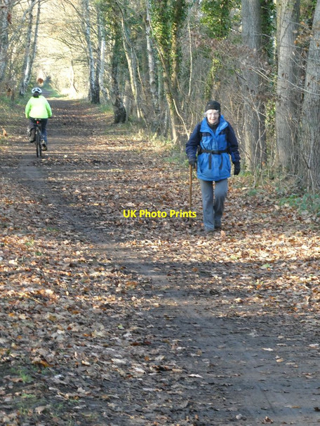 Photo 6"x4" Cyclist and walker on the Derwent Path High Westwood c2021
