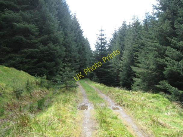 Photo 6"x4" Forestry track below Beinn Bh\u00c3\u00a0n Laggan\/NN2996 c2009