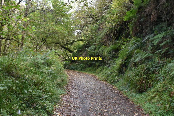 Photo 6"x4" Track up Banagher Glen Feeny c2021 P1