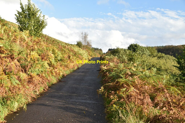 Photo 6"x4" Autumn, Banagher Glen Dungiven c2021